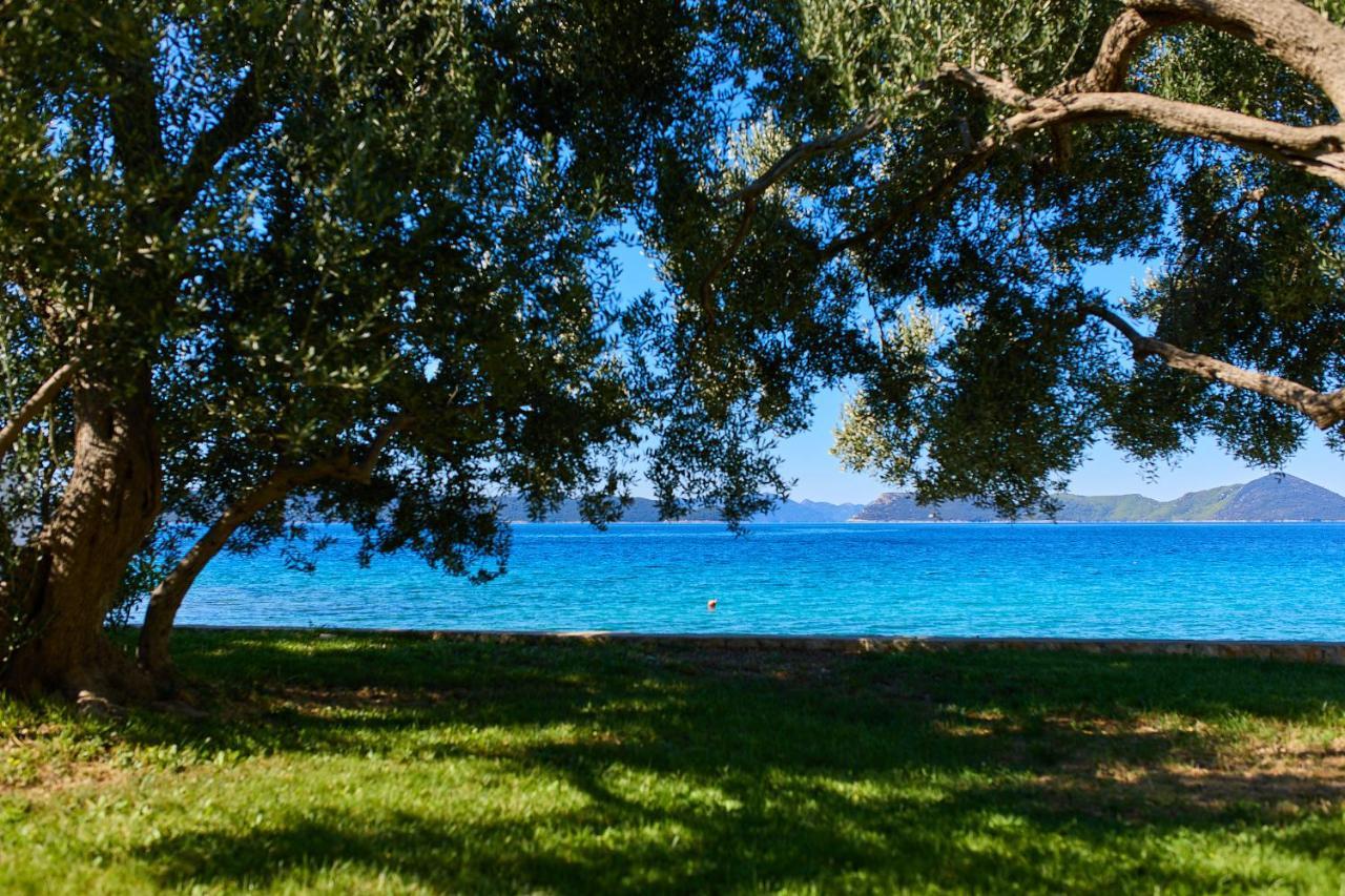 Hedera Estate, Villa Hedera XV Slano Εξωτερικό φωτογραφία